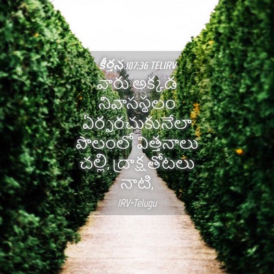 Picture 04 - కీర్తన 107:36 TELIRV - వారు అక్కడ - Bible Verse Picture