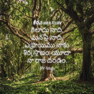Picture 04 - కీర్తన 108:8 TELIRV - గిలాదు నాది, - Bible Verse Picture
