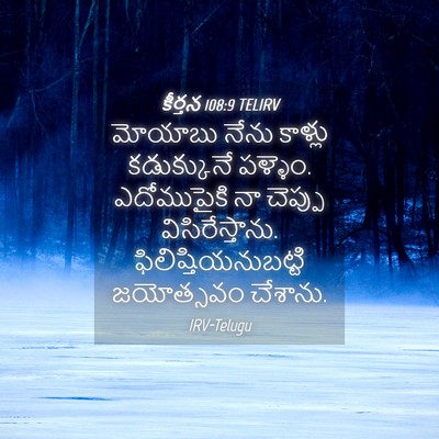 Picture 04 - కీర్తన 108:9 TELIRV - మోయాబు నేను - Bible Verse Picture