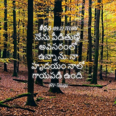 Picture 04 - కీర్తన 109:22 TELIRV - నేను పీడితుణ్ణి. - Bible Verse Picture