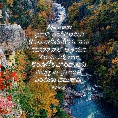 Picture 04 - కీర్తన 11:1 TELIRV - ప్రధాన - Bible Verse Picture