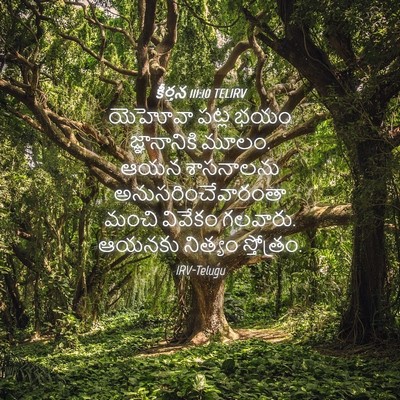 Picture 04 - కీర్తన 111:10 TELIRV - యెహోవా పట్ల భయం - Bible Verse Picture