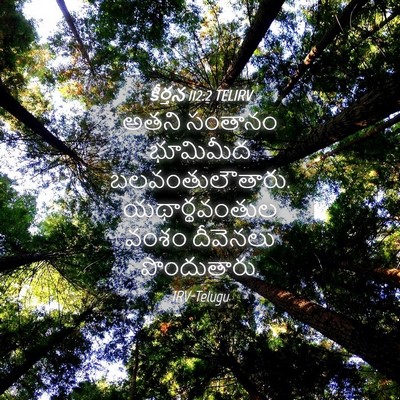 Picture 04 - కీర్తన 112:2 TELIRV - అతని సంతానం - Bible Verse Picture