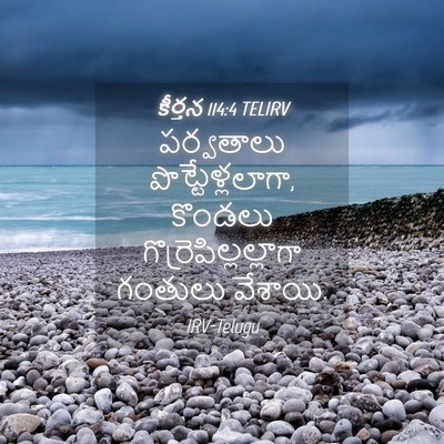 Picture 04 - కీర్తన 114:4 TELIRV - పర్వతాలు - Bible Verse Picture