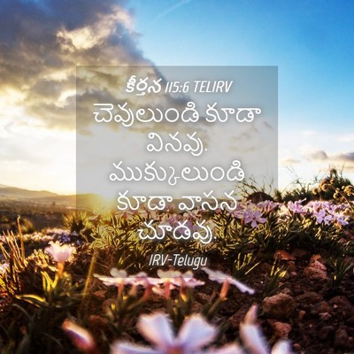 Picture 04 - కీర్తన 115:6 TELIRV - చెవులుండి కూడా - Bible Verse Picture