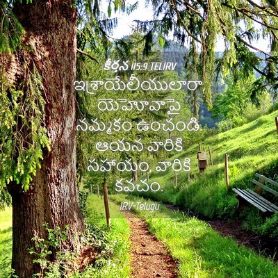 Picture 04 - కీర్తన 115:9 TELIRV - ఇశ్రాయేలీయులారా, - Bible Verse Picture