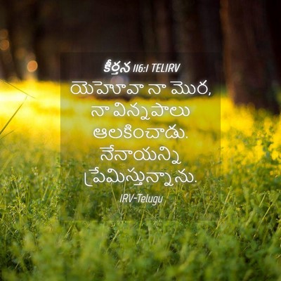 Picture 04 - కీర్తన 116:1 TELIRV - యెహోవా నా మొర, నా - Bible Verse Picture