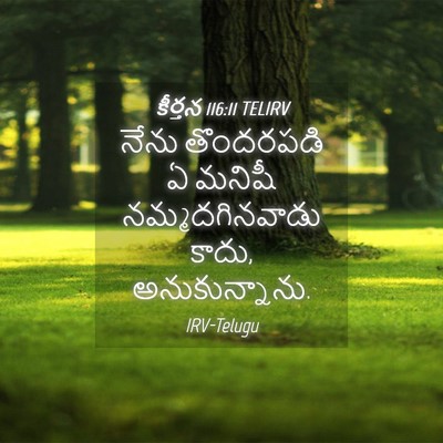 Picture 04 - కీర్తన 116:11 TELIRV - నేను తొందరపడి ఏ - Bible Verse Picture