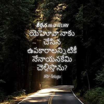 Picture 04 - కీర్తన 116:12 TELIRV - యెహోవా నాకు చేసిన - Bible Verse Picture