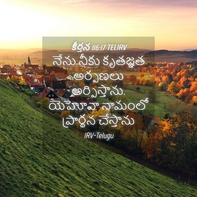 Picture 04 - కీర్తన 116:17 TELIRV - నేను నీకు కృతజ్ఞత - Bible Verse Picture