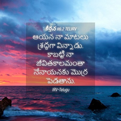 Picture 04 - కీర్తన 116:2 TELIRV - ఆయన నా మాటలు - Bible Verse Picture