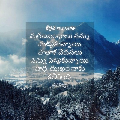 Picture 04 - కీర్తన 116:3 TELIRV - మరణబంధాలు నన్ను - Bible Verse Picture