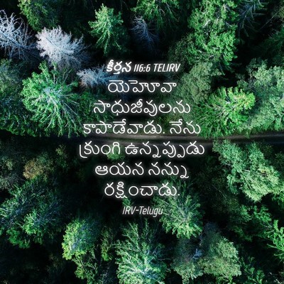 Picture 04 - కీర్తన 116:6 TELIRV - యెహోవా - Bible Verse Picture