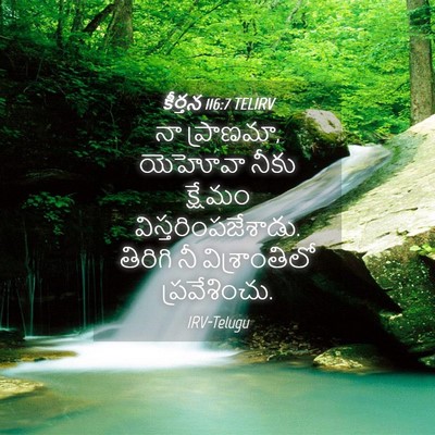 Picture 04 - కీర్తన 116:7 TELIRV - నా ప్రాణమా, యెహోవా - Bible Verse Picture