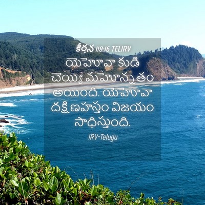 Picture 04 - కీర్తన 118:16 TELIRV - యెహోవా కుడి - Bible Verse Picture
