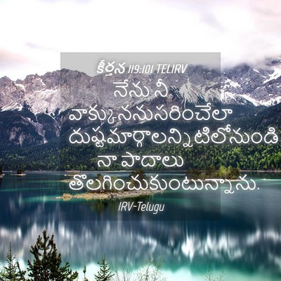 Picture 04 - కీర్తన 119:101 TELIRV - నేను నీ - Bible Verse Picture
