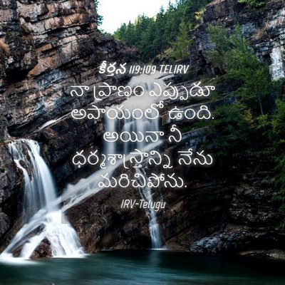 Picture 04 - కీర్తన 119:109 TELIRV - నా ప్రాణం ఎప్పుడూ - Bible Verse Picture