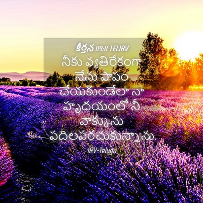 Picture 04 - కీర్తన 119:11 TELIRV - నీకు వ్యతిరేకంగా - Bible Verse Picture