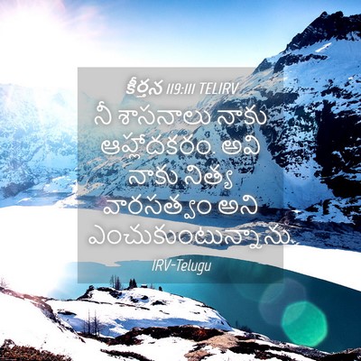 Picture 04 - కీర్తన 119:111 TELIRV - నీ శాసనాలు నాకు - Bible Verse Picture