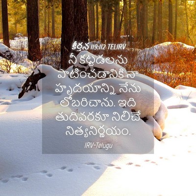 Picture 04 - కీర్తన 119:112 TELIRV - నీ కట్టడలను - Bible Verse Picture