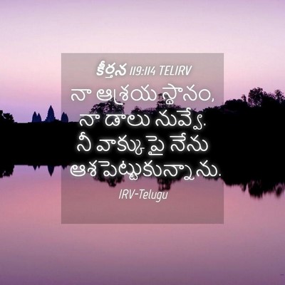 Picture 04 - కీర్తన 119:114 TELIRV - నా ఆశ్రయ స్థానం, నా - Bible Verse Picture