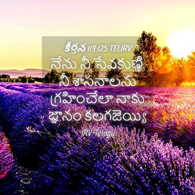 Picture 04 - కీర్తన 119:125 TELIRV - నేను నీ సేవకుణ్ణి. - Bible Verse Picture