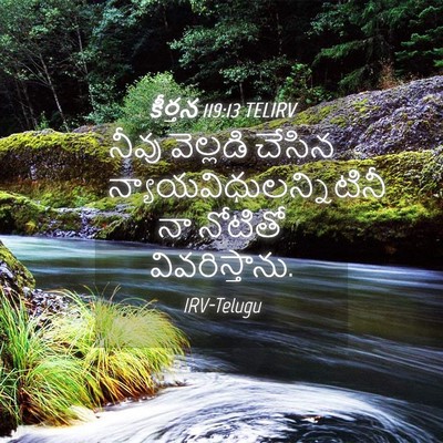 Picture 04 - కీర్తన 119:13 TELIRV - నీవు వెల్లడి - Bible Verse Picture