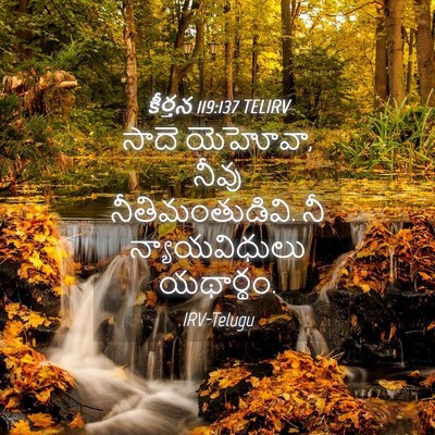 Picture 04 - కీర్తన 119:137 TELIRV - సాదె యెహోవా, నీవు - Bible Verse Picture
