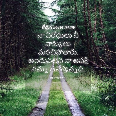 Picture 04 - కీర్తన 119:139 TELIRV - నా విరోధులు నీ - Bible Verse Picture