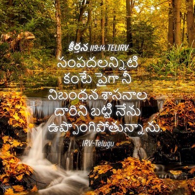 Picture 04 - కీర్తన 119:14 TELIRV - సంపదలన్నిటి కంటే - Bible Verse Picture