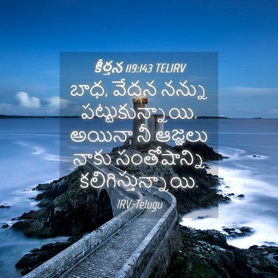 Picture 04 - కీర్తన 119:143 TELIRV - బాధ, వేదన నన్ను - Bible Verse Picture