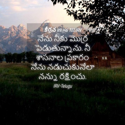 Picture 04 - కీర్తన 119:146 TELIRV - నేను నీకు మొర్ర - Bible Verse Picture