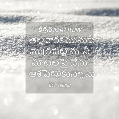 Picture 04 - కీర్తన 119:147 TELIRV - తెల్లవారకమునుపే - Bible Verse Picture