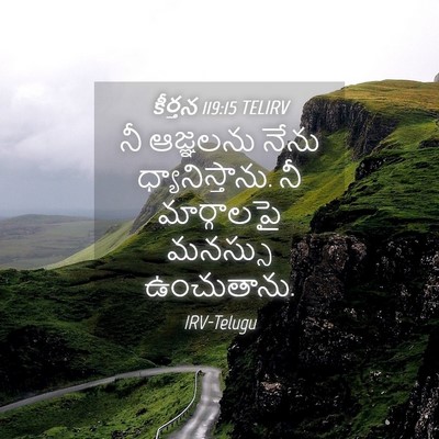 Picture 04 - కీర్తన 119:15 TELIRV - నీ ఆజ్ఞలను నేను - Bible Verse Picture
