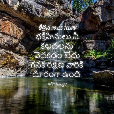 Picture 04 - కీర్తన 119:155 TELIRV - భక్తిహీనులు నీ - Bible Verse Picture