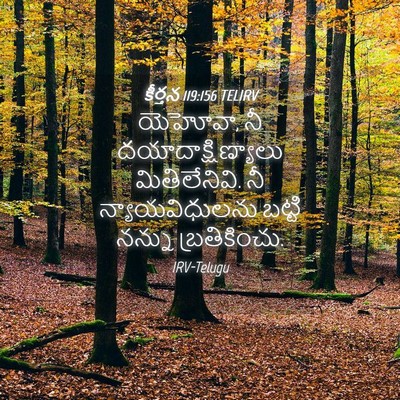 Picture 04 - కీర్తన 119:156 TELIRV - యెహోవా, నీ - Bible Verse Picture