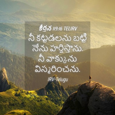 Picture 04 - కీర్తన 119:16 TELIRV - నీ కట్టడలను బట్టి - Bible Verse Picture