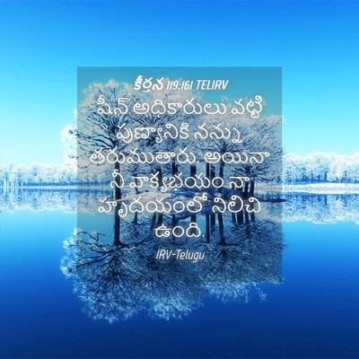 Picture 04 - కీర్తన 119:161 TELIRV - షీన్‌ అధికారులు - Bible Verse Picture