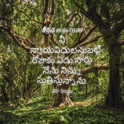 Picture 04 - కీర్తన 119:164 TELIRV - నీ - Bible Verse Picture