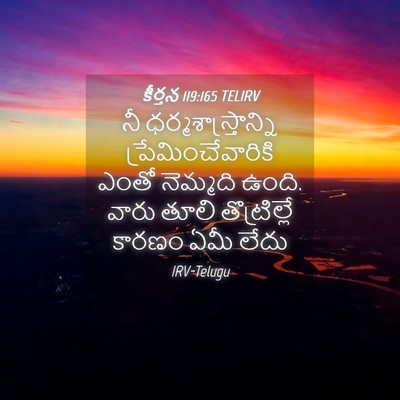 Picture 04 - కీర్తన 119:165 TELIRV - నీ - Bible Verse Picture