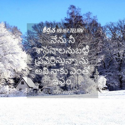 Picture 04 - కీర్తన 119:167 TELIRV - నేను నీ - Bible Verse Picture