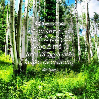 Picture 04 - కీర్తన 119:169 TELIRV - తౌ యెహోవా, నా మొర్ర - Bible Verse Picture