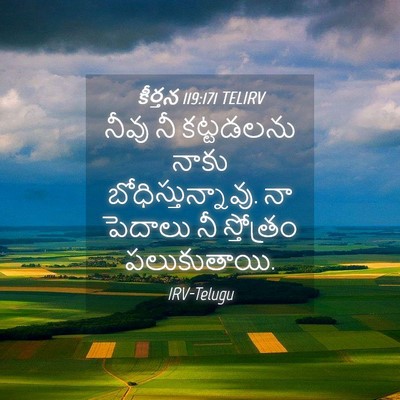 Picture 04 - కీర్తన 119:171 TELIRV - నీవు నీ కట్టడలను - Bible Verse Picture