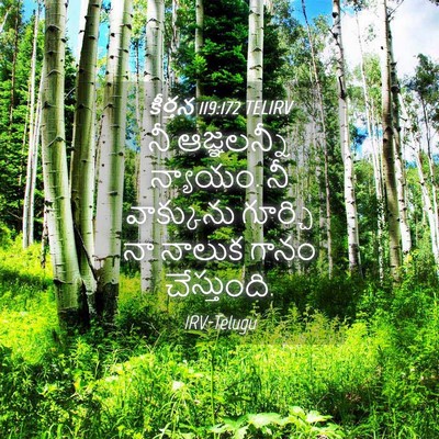Picture 04 - కీర్తన 119:172 TELIRV - నీ ఆజ్ఞలన్నీ - Bible Verse Picture