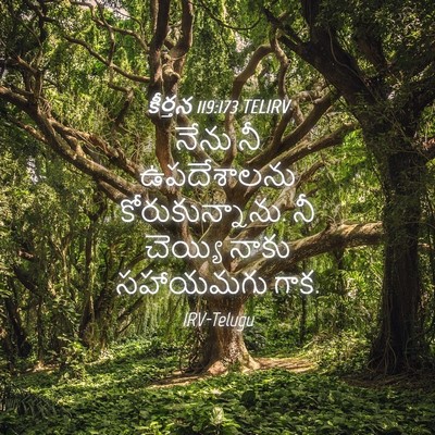 Picture 04 - కీర్తన 119:173 TELIRV - నేను నీ ఉపదేశాలను - Bible Verse Picture