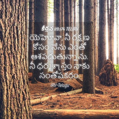 Picture 04 - కీర్తన 119:174 TELIRV - యెహోవా, నీ రక్షణ - Bible Verse Picture