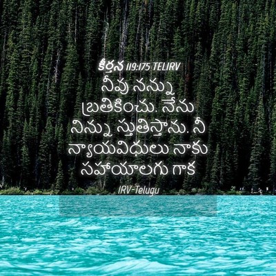 Picture 04 - కీర్తన 119:175 TELIRV - నీవు నన్ను - Bible Verse Picture