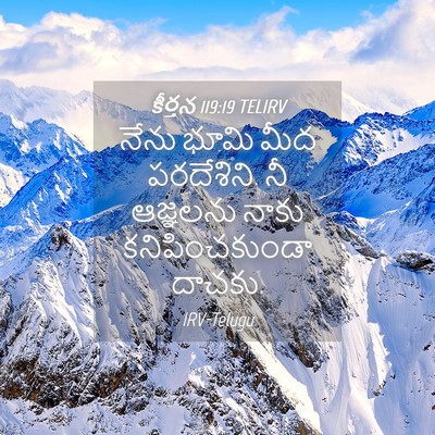 Picture 04 - కీర్తన 119:19 TELIRV - నేను భూమి మీద - Bible Verse Picture