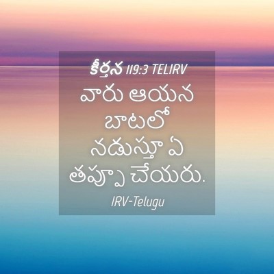 Picture 04 - కీర్తన 119:3 TELIRV - వారు ఆయన బాటలో - Bible Verse Picture