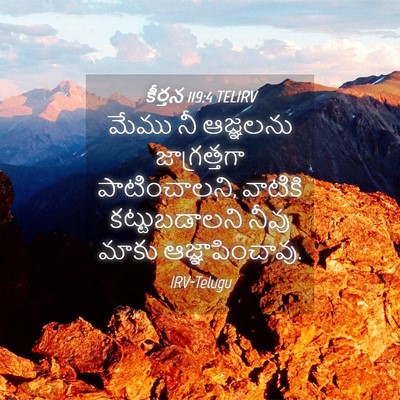 Picture 04 - కీర్తన 119:4 TELIRV - మేము నీ ఆజ్ఞలను - Bible Verse Picture